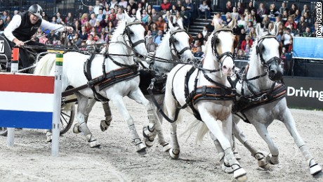 Extreme horsepower: Love and carriage hits London