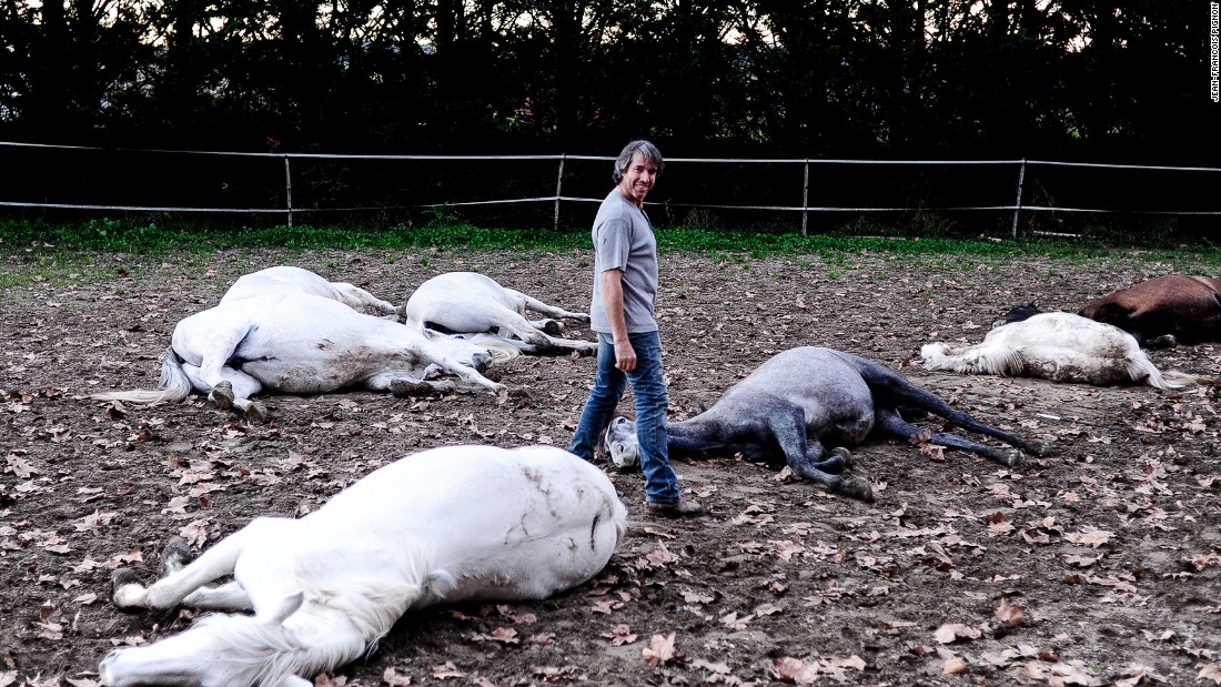He has an almost mesmeric hold over his horses training them to perform a range of stunts as well as playing dead -- as pictured here. &quot;Each horse is different,&quot; he says. &quot;It&#39;s my (job) to adapt to the horse to get the best out of him.&quot;