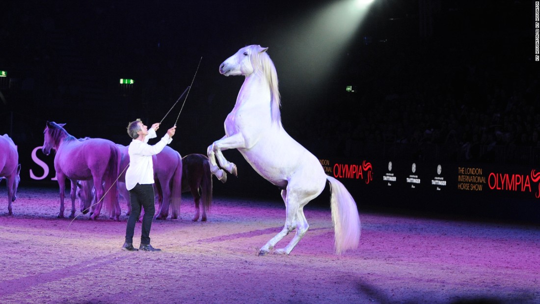 Pignon performing at the London International Horse Show at Olympia in December 2015. The annual event which was first organized in 1907 showcases an international cast of riders who compete in showjumping, dressage, carriage driving competitions. There are also theatrical shows like Pignon&#39;s, which are always a hit with the crowds.&lt;br /&gt;&quot;He can get horses to do things that other people just can&#39;t get them to do,&quot; explains Jo Peck, who oversees Olympia&#39;s marketing and communications. &quot;He has this almost telepathic conversation that goes on.&quot; 