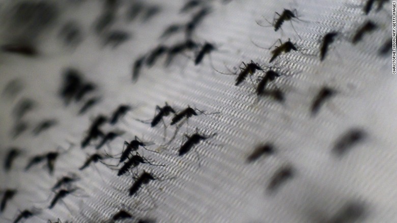 WHO: Zika virus spreading to almost all the Americas