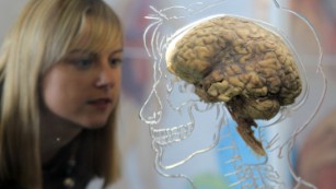 Your Brain Stopped Making New Cells At Age 13 Study Claims Cnn
