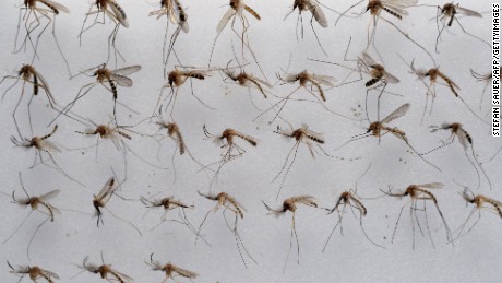 A deadly yellow fever outbreak in Brazil has travelers on alert