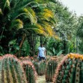 Gareth Pon cacti