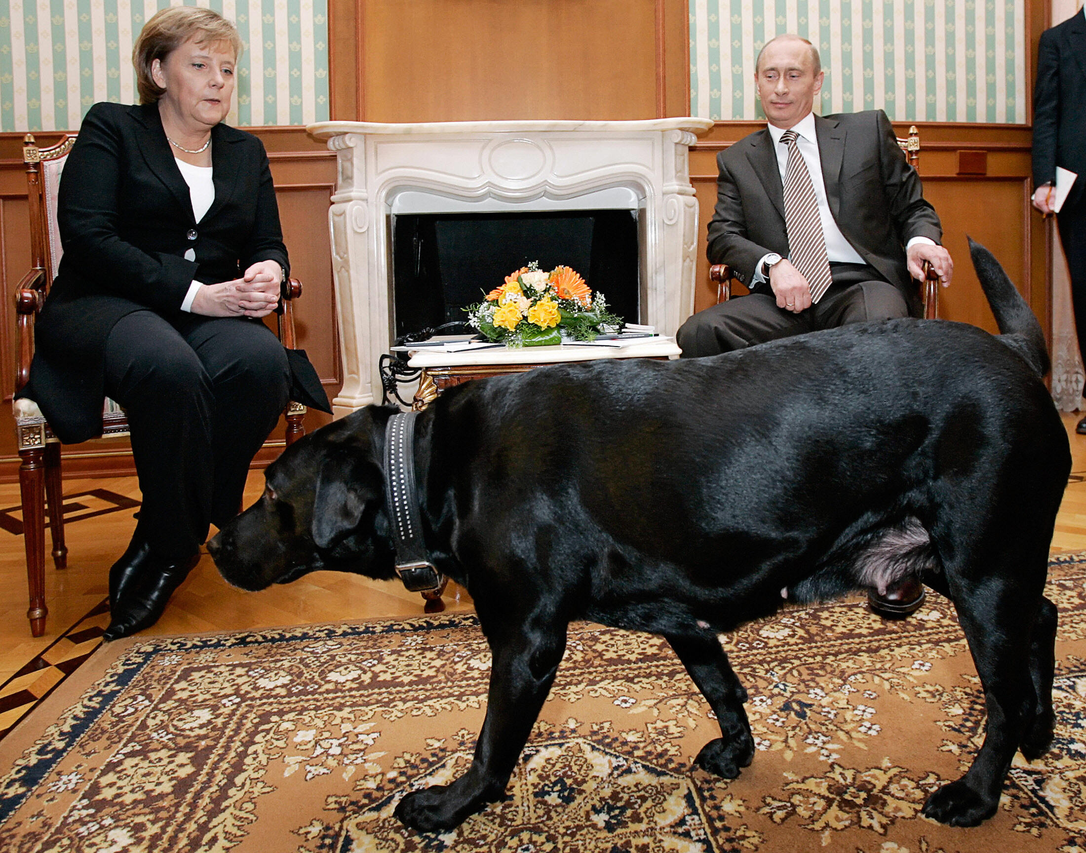 Putin: I didn&#39;t mean to scare Angela Merkel with dog | CNN