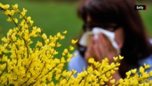 Allergies and coronavirus: What you need to do now to protect your lungs