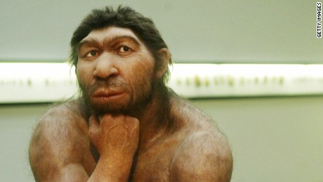 La endogamia podría haber contribuido a la extinción de los neandertales, según un estudio