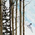 lara gut skiing trees