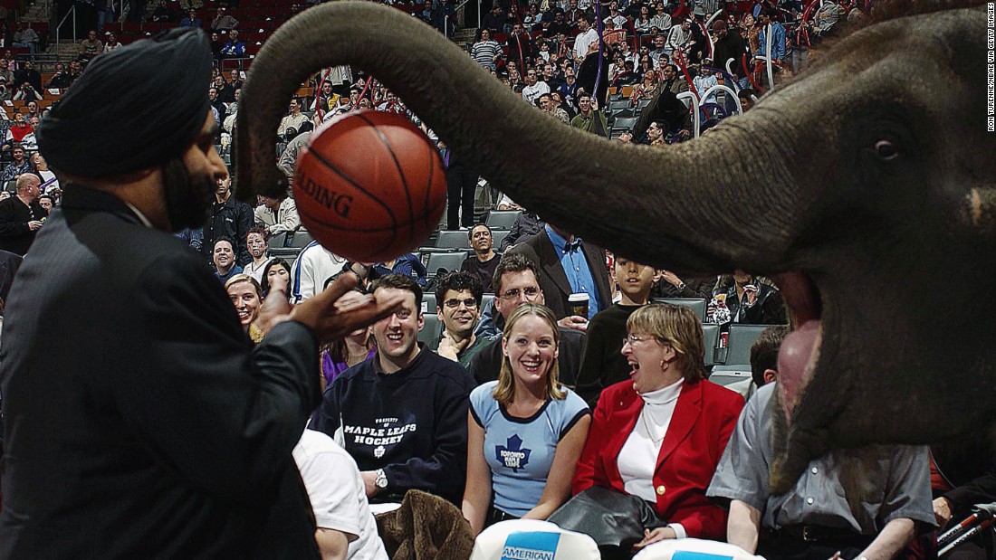 Toronto Raptors superfan Nav Bhatia receives the game ball from Piccolo the Elephant as part of the annual Baisakhi Day celebration of the Sikh New Year hosted by the team at the Air Canada Centre.