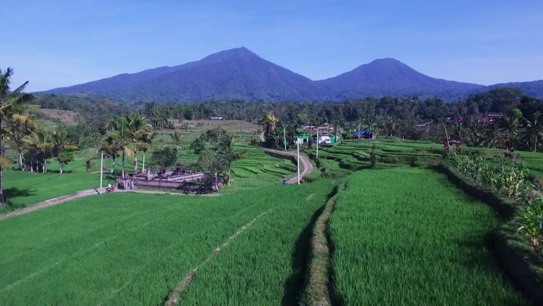 Bali Rice Fields Desktop Wallpaper