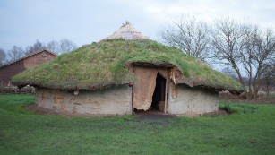 Puzzling Family Structure Revealed in Bronze Age Households