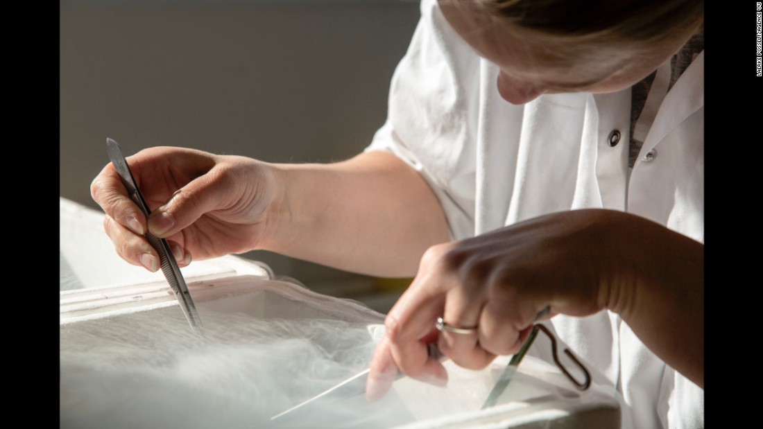 Rohde works on a lab sample.