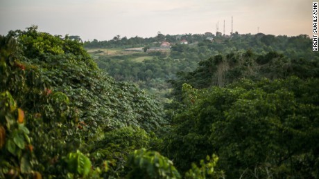 Uganda&#39;s Zika Forest, birthplace of the Zika virus