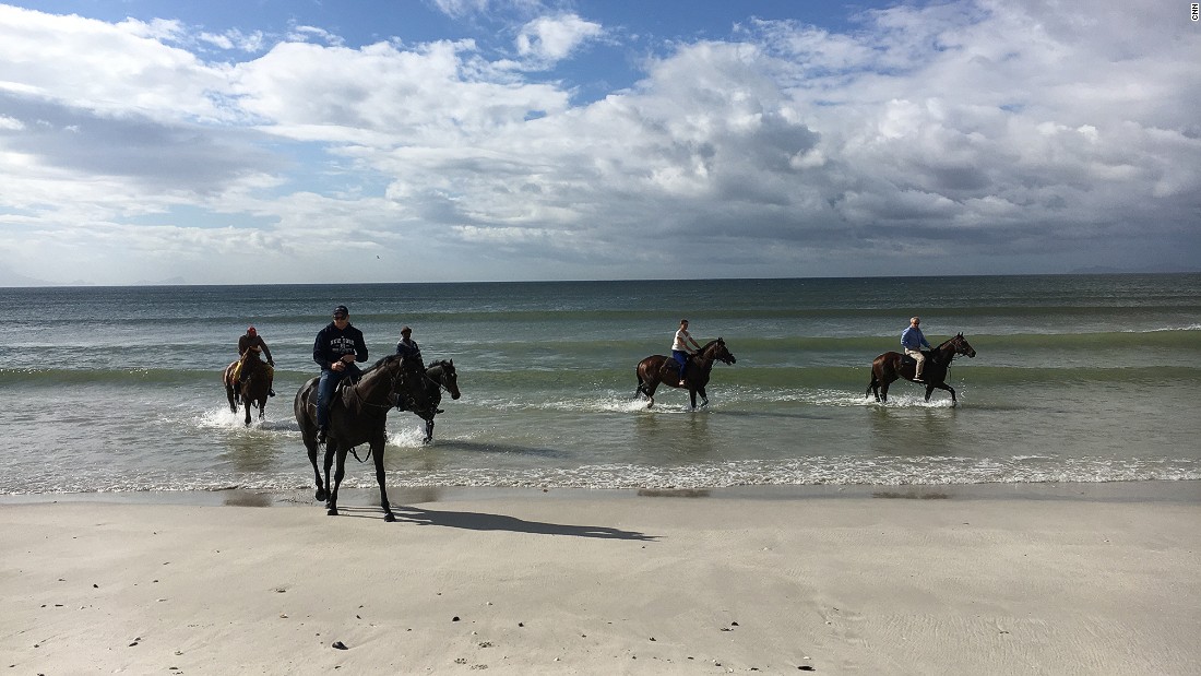 &quot;It&#39;s just such a refreshing feeling for the horses. The cold water and the movement of the ocean takes down any inflammation, any infection,&quot; Snaith says. 