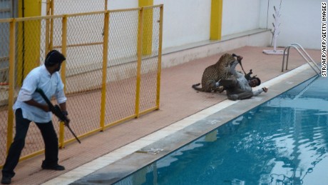 3 mauled as leopard wreaks havoc at Indian school