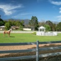 oprah winfrey horse farm paddock 