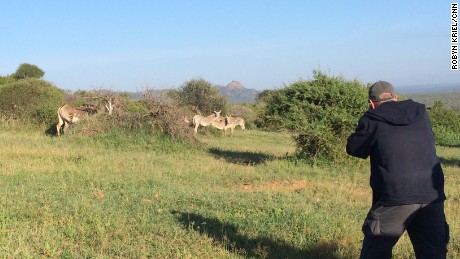 With GPS-enabled cameras, participants went into rangeland to photograph every Grevy&#39;s zebra they saw.