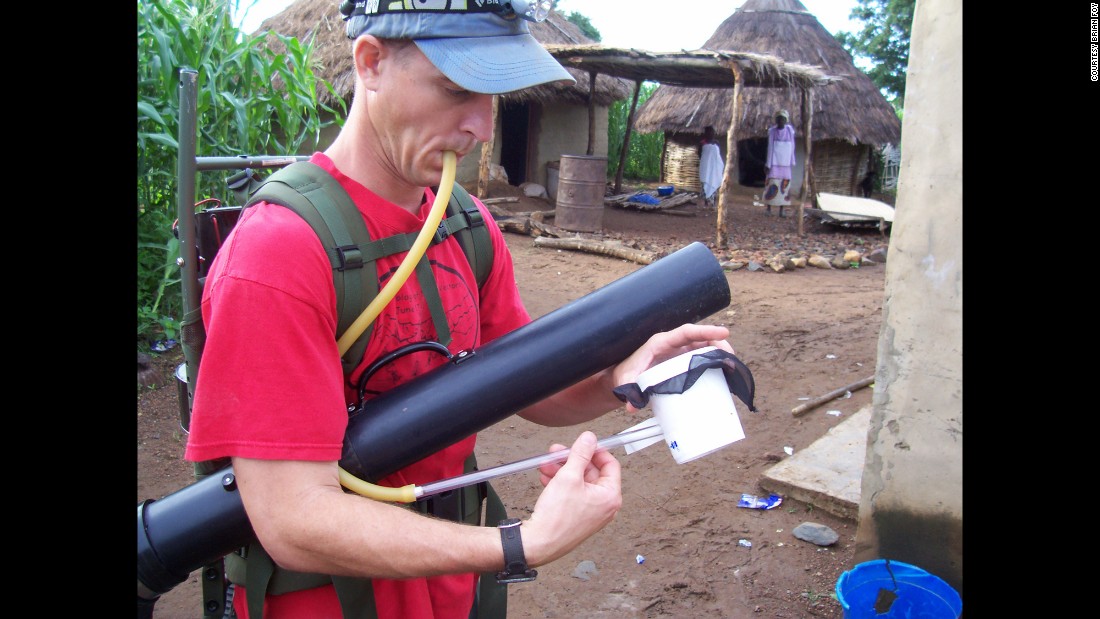 After collection in the trap of the electronic aspirator, the mosquitoes must be sucked out and transferred to specially prepared collection cups holding sugar water.