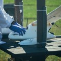 Drone flyign blood samples