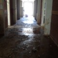 djokovic school flood 3