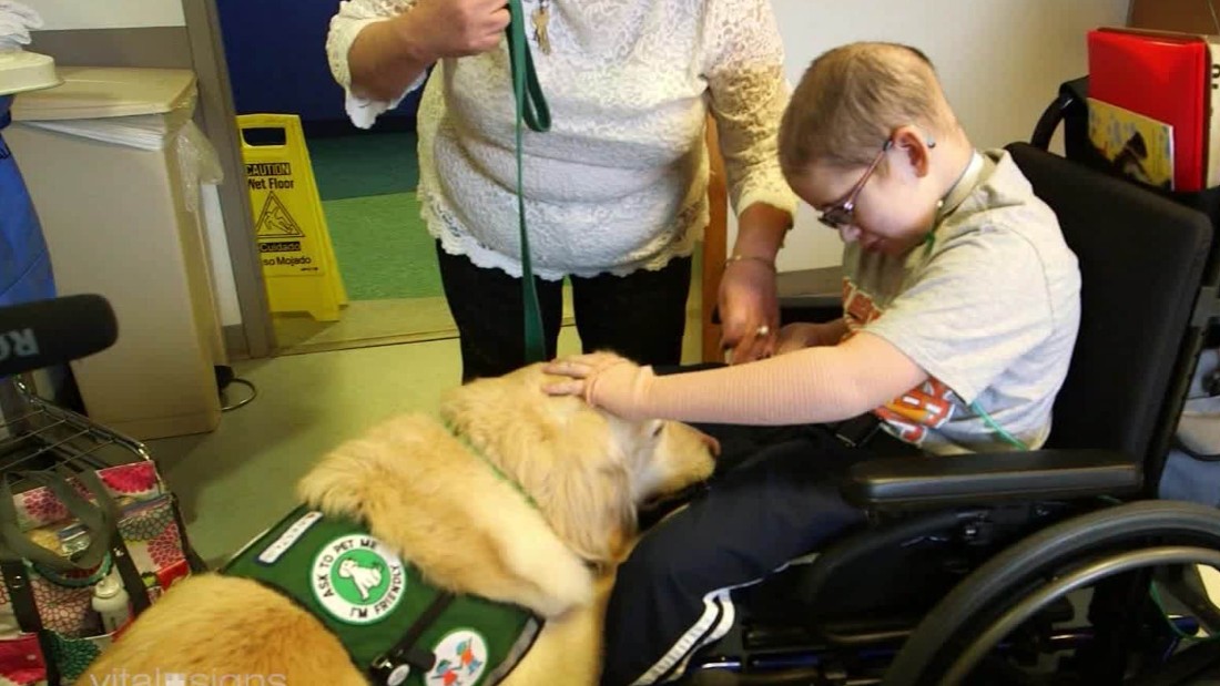 therapeutic robot dog