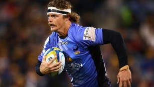 Family man Nick Cummins set for Japanese rugby - Nine Wide World of Sports  - Rugby