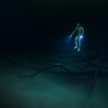 freediving gallery torches 