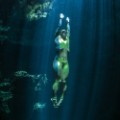 freediving gallery lungs 