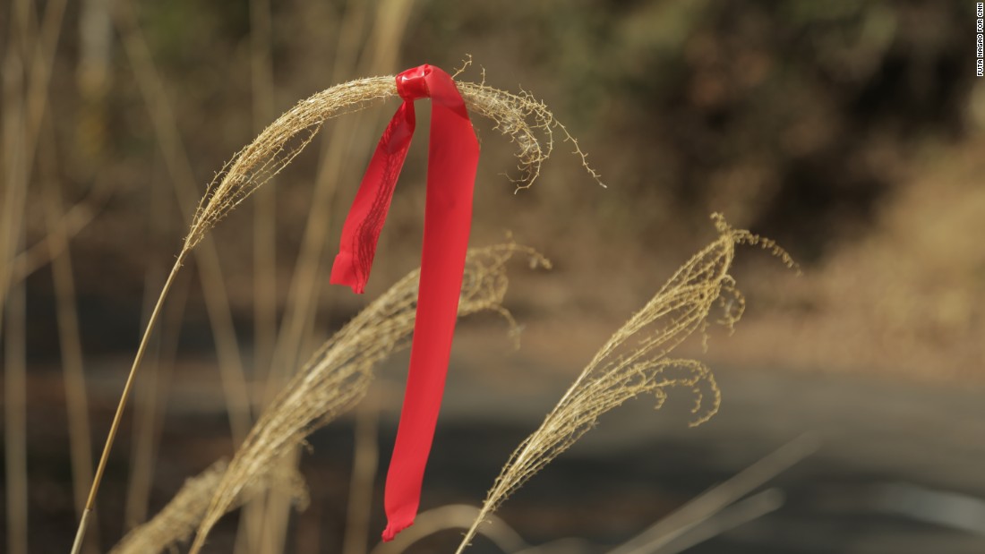Former residents say highly radioactive plants are marked with red ribbons to indicate danger.