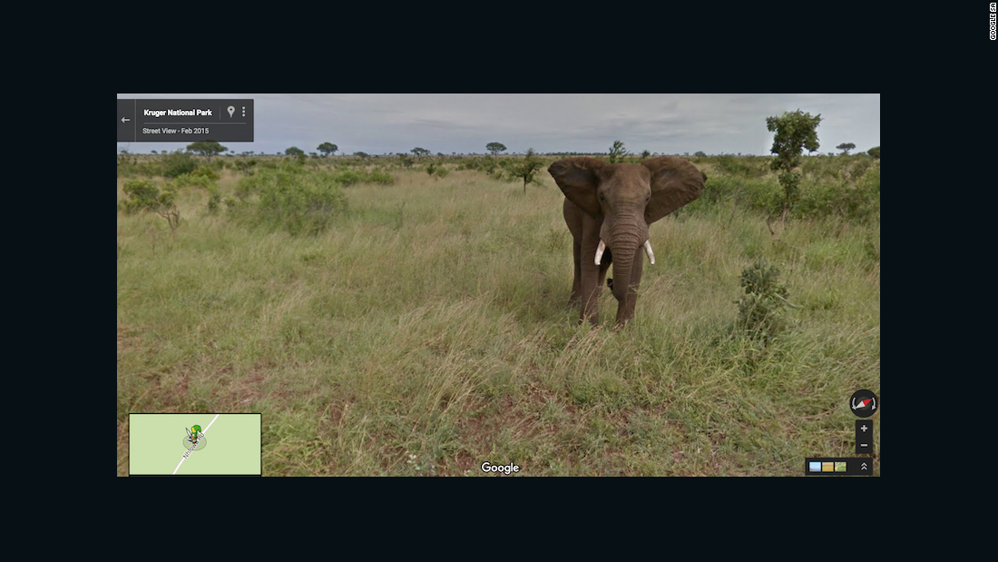 Go on a virtual tour of South Africa with Google