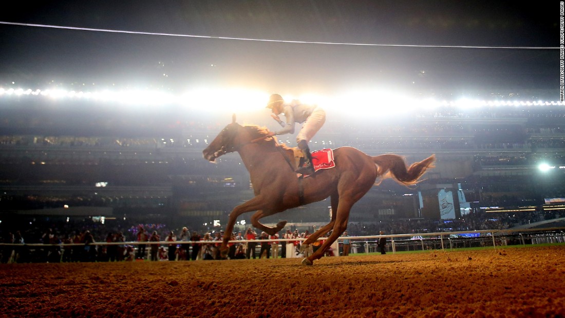 Last year the Dubai World Cup was scooped by William Buick on eight-year-old Prince Bishop, who retired after the career win.