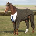 Tweed Horse 5: Horse standing alone 