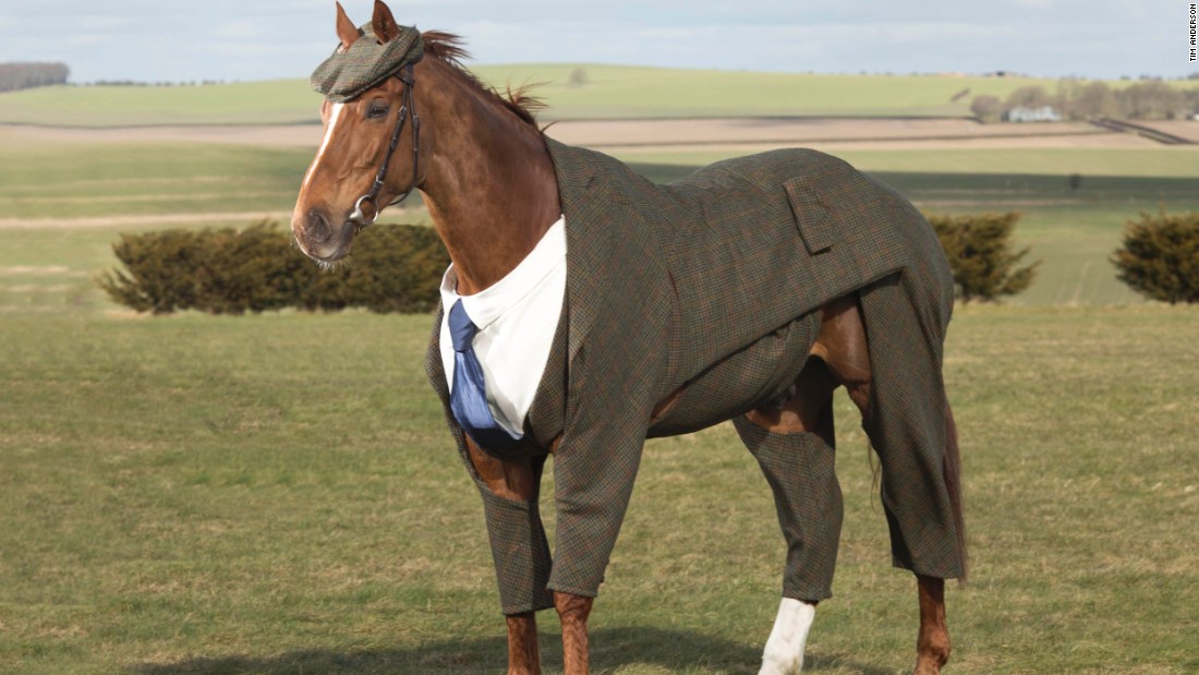 &quot;Creating the world&#39;s first tweed suit for a horse has been one of the biggest challenges that I have faced in my career as a designer,&quot; said the suit&#39;s creator Emma Sandham-King.  