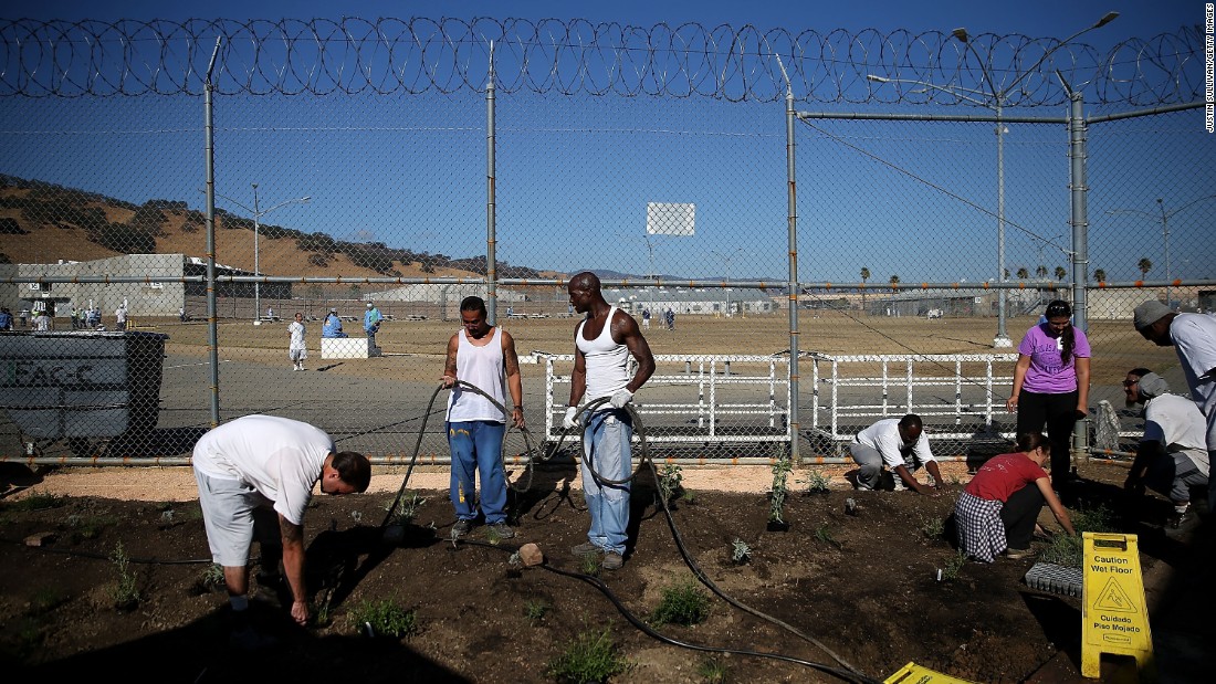 Inmates at a state prison in Vacaville, California, install a drought-tolerant garden in October. The garden will be watered using reclaimed water from the prison&#39;s kitchen. California is entering its fifth year of severe drought.