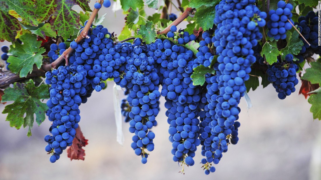 Syrah grapes get their vibrant color from anthocyanins. 