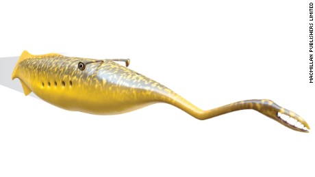 Scientists believe they may have solved the mystery of the Tully monster, illustrated above.