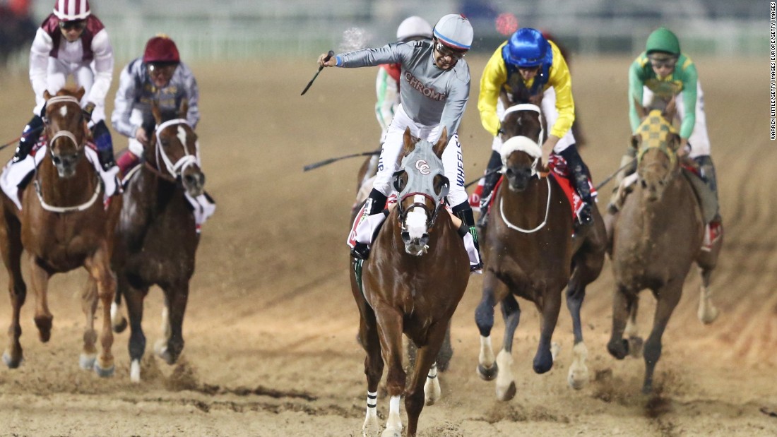 Victor Espinoza rides California Chrome to victory in the Dubai World Cup at Meydan Racecourse. 