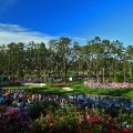 Augusta National 16th hole roars