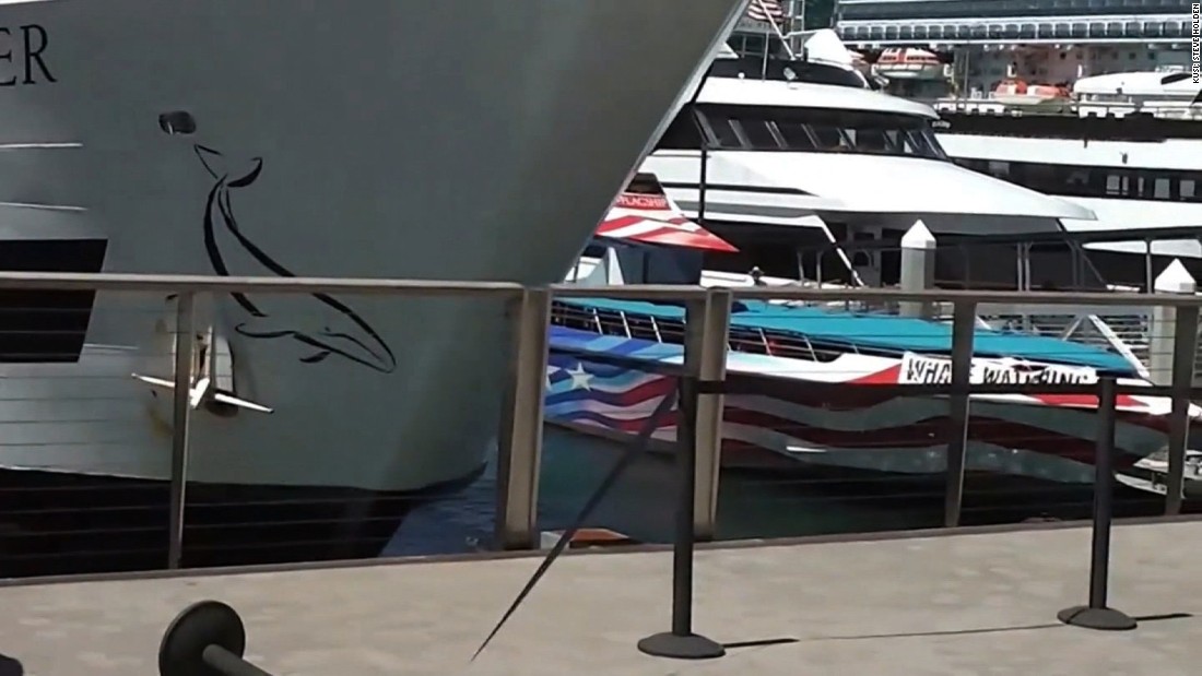 San Diego cruise ship crashes into dock CNN