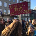 05 Icelandic Protest