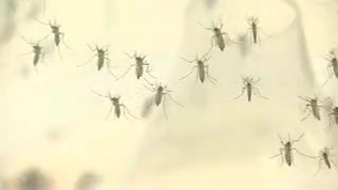 Dengue Vaccine Can Backfire, Study Finds - Cnn