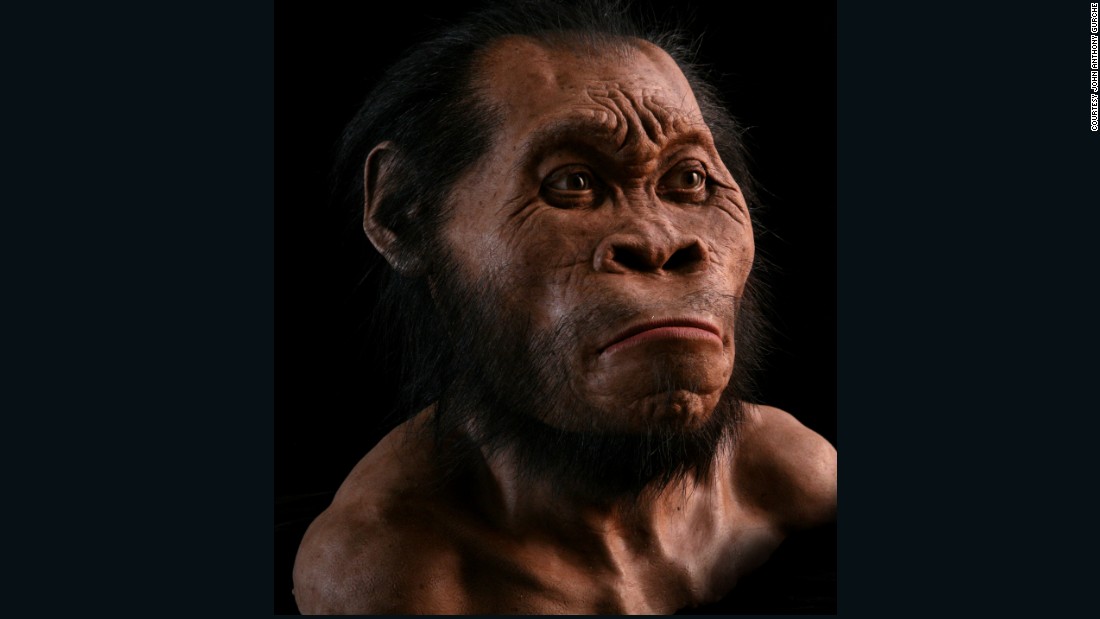 Aufgabe Abitur Homo Naledi Homo Naledi New Species Of Ancient Human 