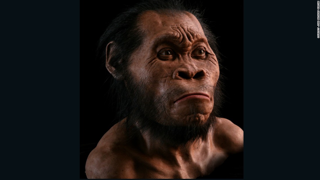 Homo naledi. Homo Heidelbergensis. ANCESTORS all species.