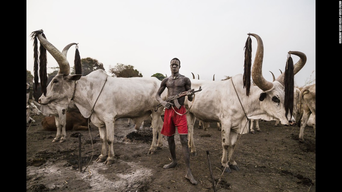 A Mundari man guards his precious Ankole-Watusi herd with a rifle. Photographer &lt;a href=&quot;http://www.tariqzaidi.com/&quot; target=&quot;_blank&quot;&gt;Tariq Zaidi&lt;/a&gt; visited the Mundari tribe in South Sudan twice in 2016 to document the lives of these fiercely protective herdsmen who face war, rustlers and landmines as they care for their animals.