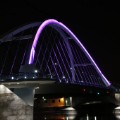 prince minnesota purple bridge 2