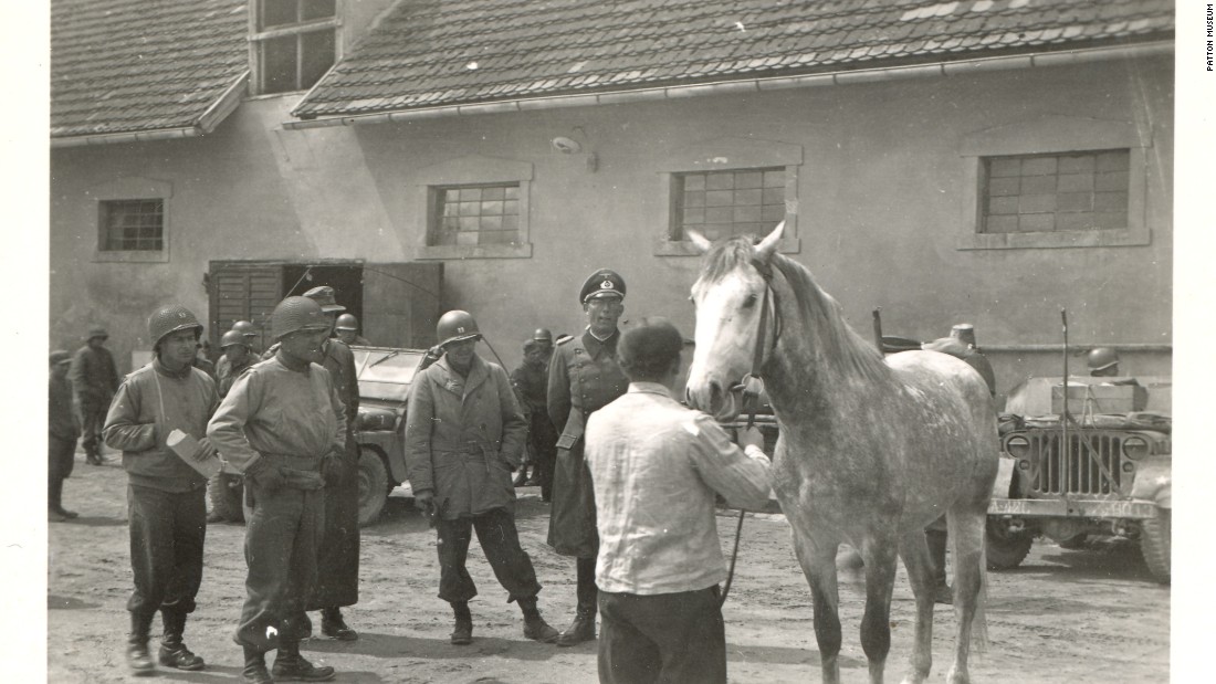 A horse among those captured by Nazis is inspected by American Colonel Hank Reed at the stables in Hostau at the end of April 1945.