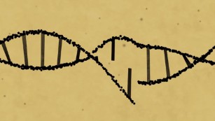 Scientists edit disease-causing gene mutation in human embryos