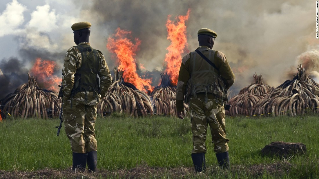 Kenyan President Uhuru Kenyatta called for an end to &quot;murderous&quot; trafficking and to fight against the extinction of elephants in the wild.