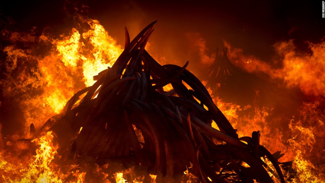 Image result for illegal goods being burned in Kenya