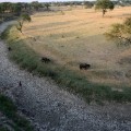 GettyImages-528157572India drought