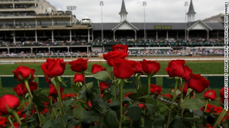 LOUISVILLE, KY - MAY 05:  Roses are seen from the winner&#39;s circle prior to the the 138th running of the Kentucky Derby at Churchill Downs on May 5, 2012 in Louisville, Kentucky.  (Photo by Jamie Squire/Getty Images)